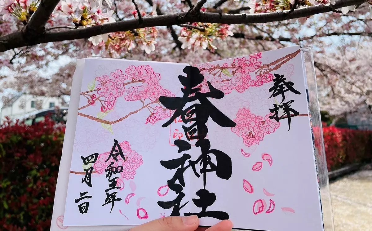 🌸 사쿠라 신궁 (桜神宮) 이미지 6